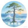 良木观潮头像