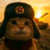 苏联小猫🍡头像