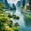 小虎看盘头像