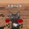 无敌me侠（猫meme）头像
