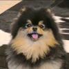 李相夷头像