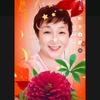 美丽葵花头像