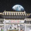 我疯狂为你煲鸡汤头像