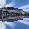 优游岁月头像