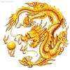 红星闪闪亮头像