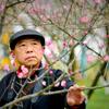 汉川黄光宏头像