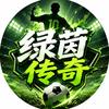 绿茵传奇头像