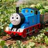 托马斯动画站头像