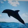 deepseek问答分享头像