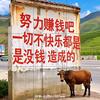 F十一头像