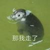 爱国宝宝头像