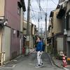 猫爵士教恋爱头像