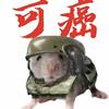 暗区入机(世一猎)头像