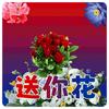 ‘头像