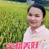 平政镇鸿宇农资店何明夏头像