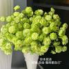风清心贤头像