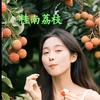 桂南荔枝头像