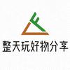 整天玩头像