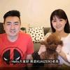 老高与小茉 同步更新头像