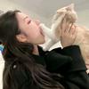 💞QC糖心煎蛋💞头像