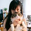 影猫猫头像