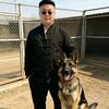 龙先生～犬舍头像
