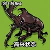 快乐的独角仙头像