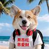 爱laughing爱dancing的旺财头像
