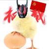 小鸡（已黑化）头像
