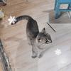 29113911。头像