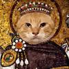 猫猫大农令头像