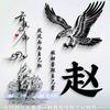 ‼️温柔的风🇨🇳头像