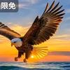 猎奇.传记.励志头像