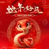 🐉龙的传人头像