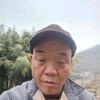 百草蜂头像