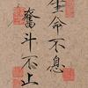 奋斗不息头像