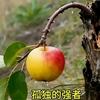 过去未来头像