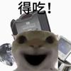凊风（三角洲）头像