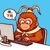 小猴哥不加班头像