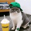 外卖哥创造原声头像