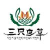 三只虫草滋补养生头像