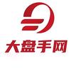 大盘手网头像