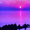 智鸿头像