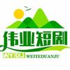 伟业短剧头像