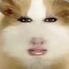 天样头像