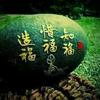 言西早头像