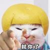 救命啊。头像