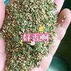 西域风物..莫合头像