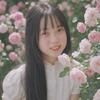 柳州螺蛳粉公交迷头像