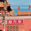 仲哥来贵州头像